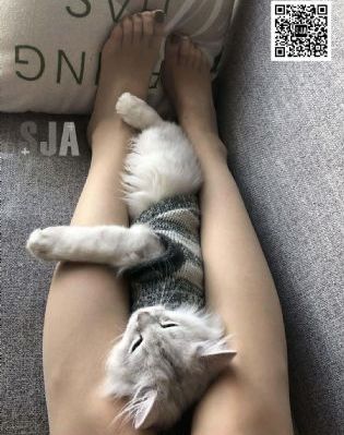 密室大逃脱第六季免费观看_1080在线视频观看