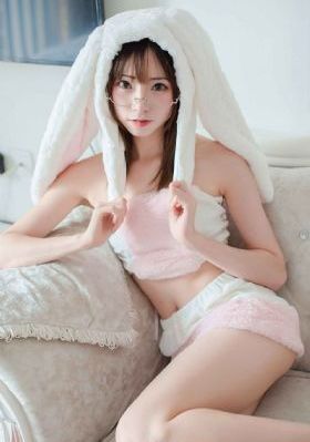 警察锅哥电视连续剧_高清免费电影观看
