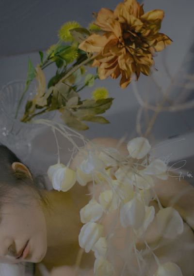 绝命毒师5_BD韩语高清视频观看