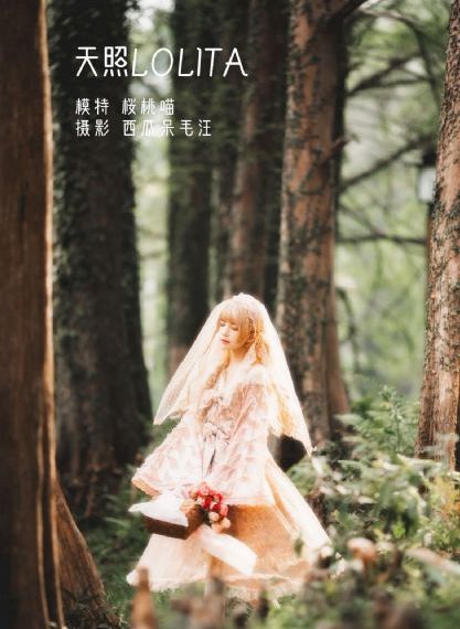 《琅琊榜》第三部_4KHD在线观看